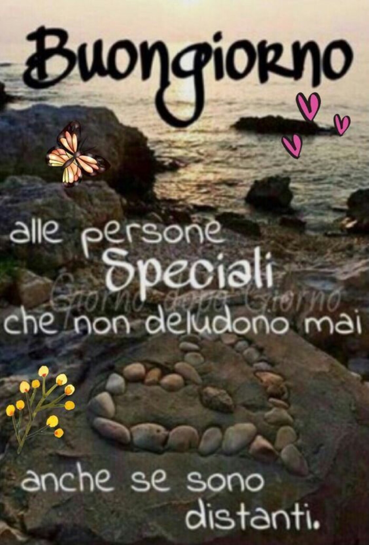 Buongiorno alle Persone Speciali che non deludono mai, anche se sono distanti