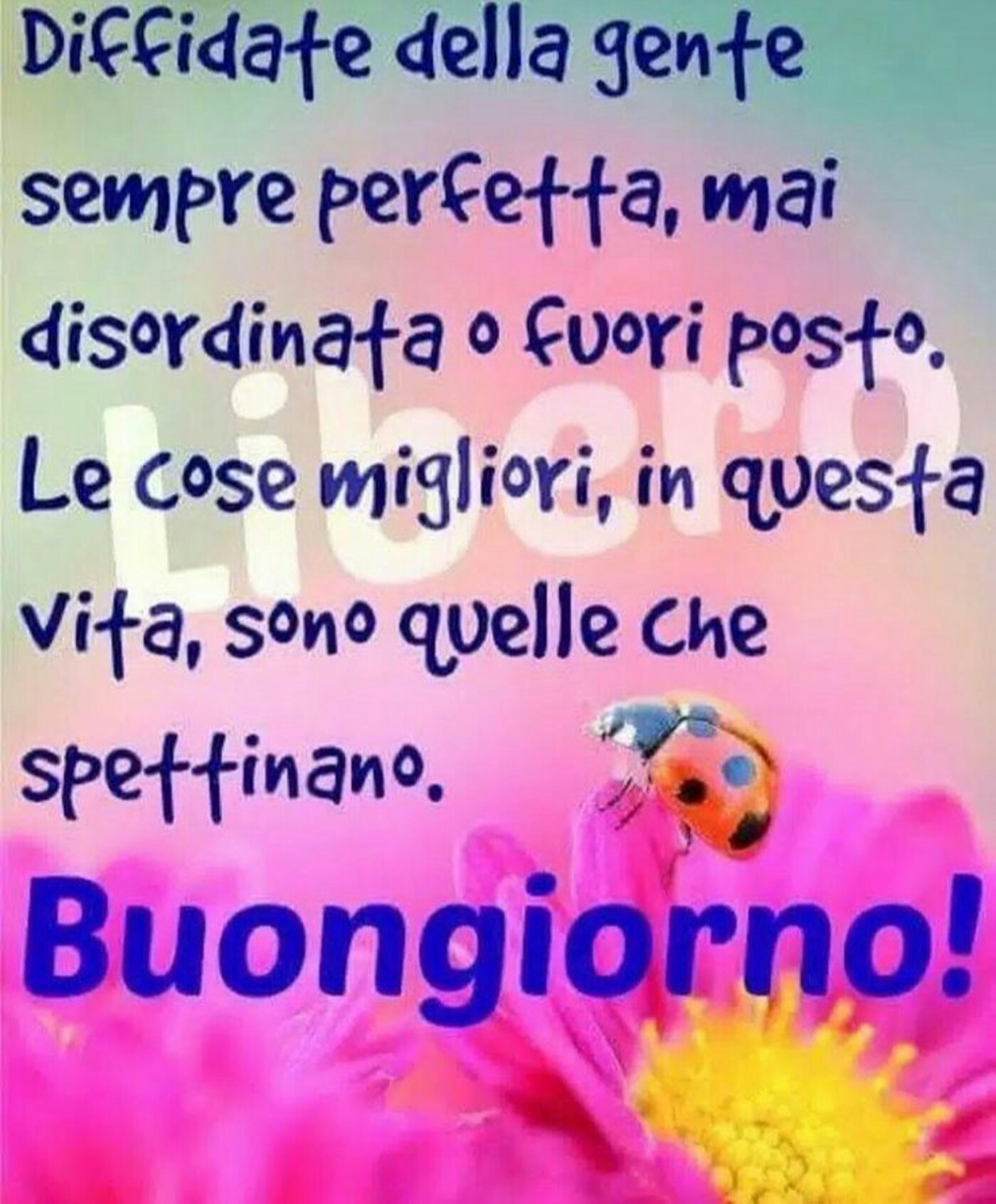 Diffidate dalla gente sempre perfetta, mai disordinata o fuori posto. La cose migliori, in questa vita, sono quelle che spettinano. Buongiorno!