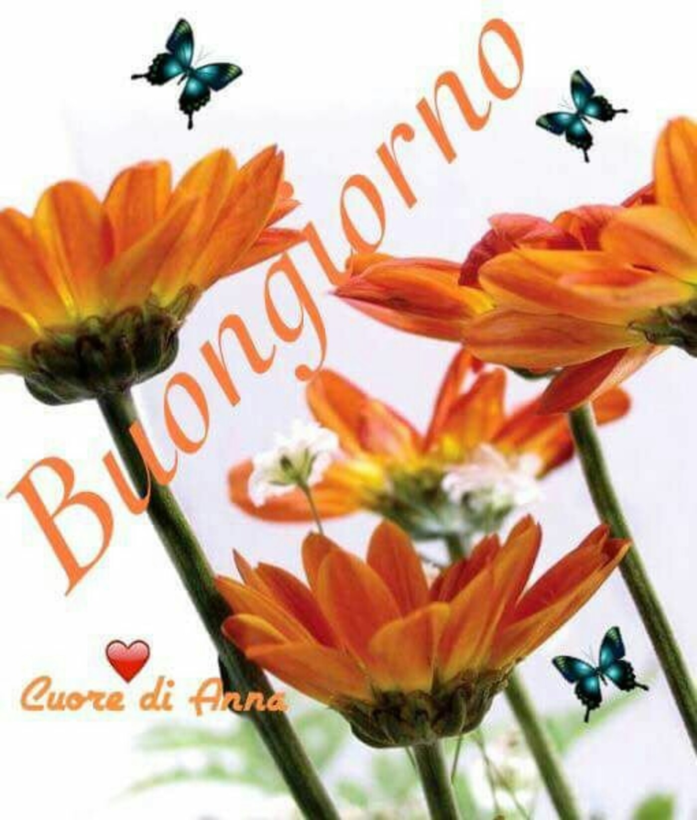 Cuore di Anna - Buongiorno coi fiori