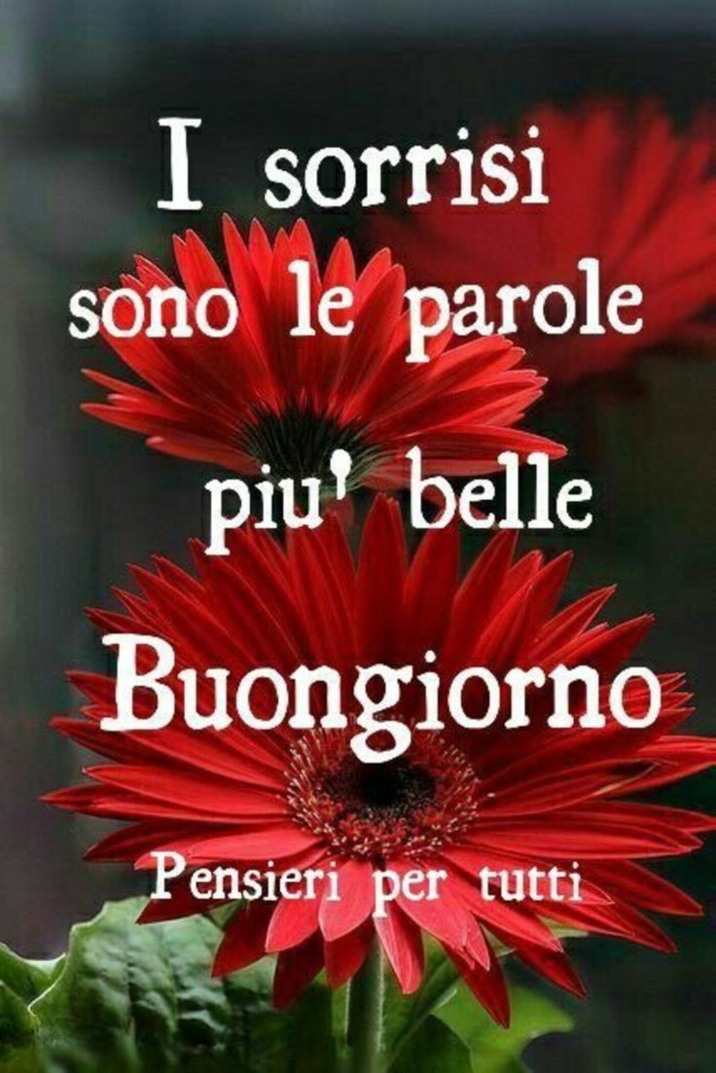 I sorrisi sono le parole più belle... Buongiorno