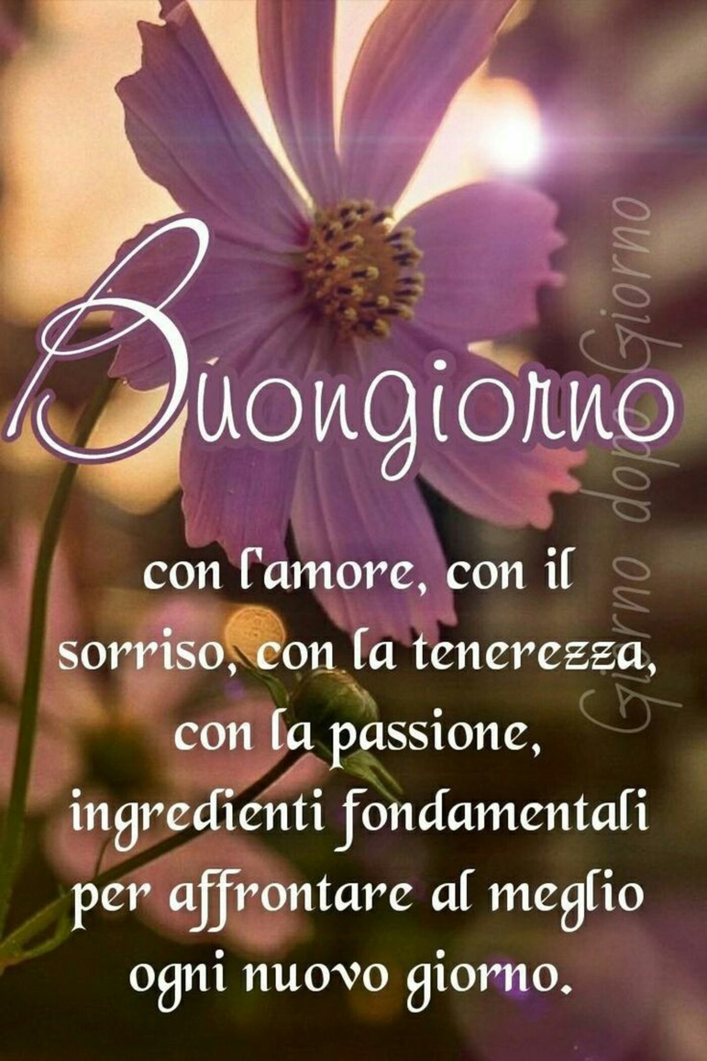 Buongiorno con l'amore, con il sorriso, con la tenerezza, con la passione, ingredienti fondamentali per affrontare al meglio ogni nuovo giorno