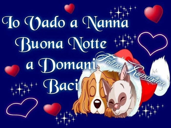 Io vado a nanna... Buonanotte a Domani baci