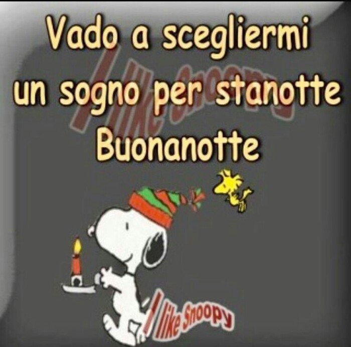 "Vado a scegliermi un sogno per stanotte, Buonanotte" - Snoopy e il Natale