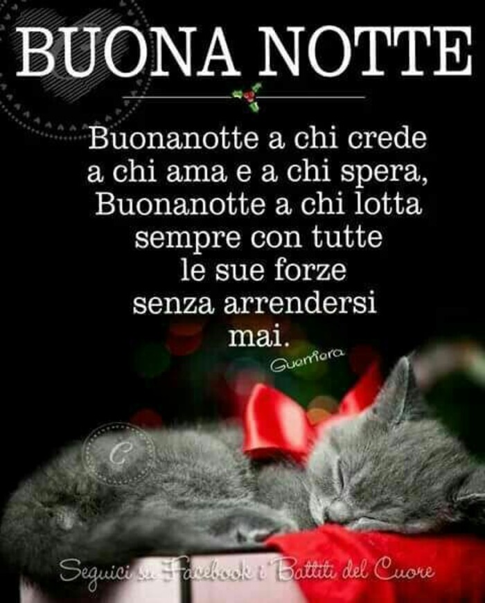 "Buonanotte a chi crede, a chi ama e a chi spera. Buonanotte a chi lotta sempre con tutte le sue forze senza arrendersi mai."