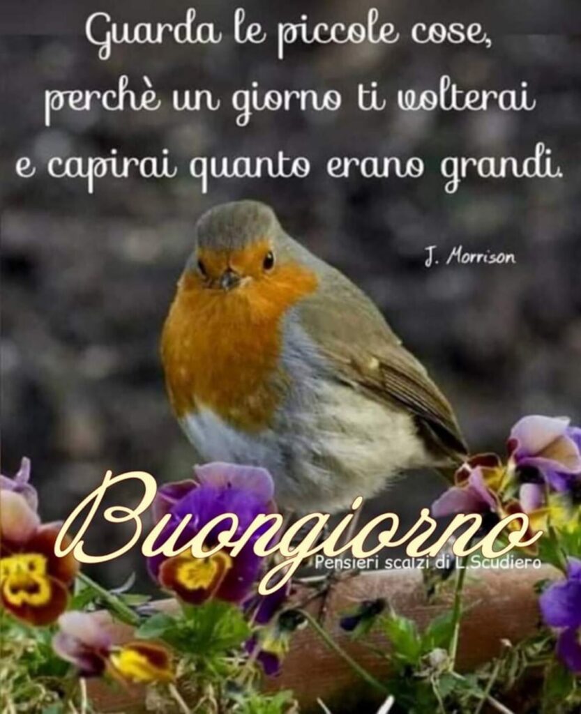 frasi belle del buon giorno