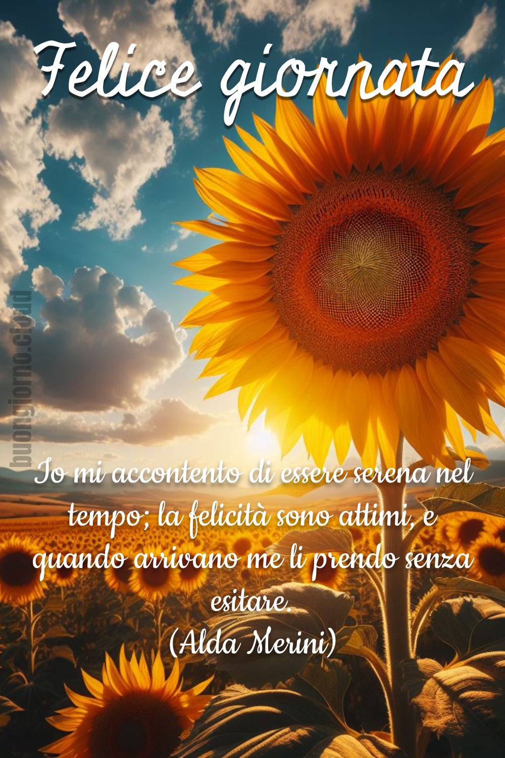 Cinque Nuove Immagini Per Augurare Il Buongiorno Con Gioia Buongiorno Cinque Nuove Immagini Per Augurare Il Buongiorno Con Gioia Buongiorno